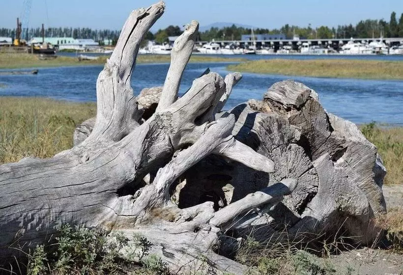 酒店 La Conner Channel Lodge