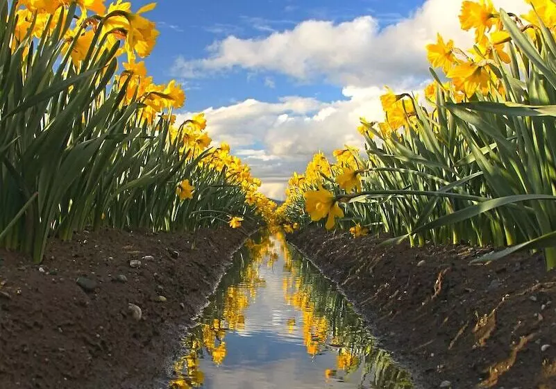 酒店 La Conner Channel Lodge