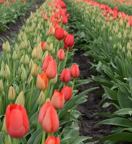 酒店 La Conner Channel Lodge