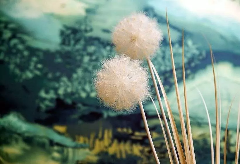 ホテル De Boisgelin