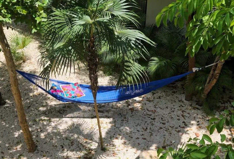 هتل Niik Tulum