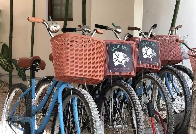 هتل Niik Tulum