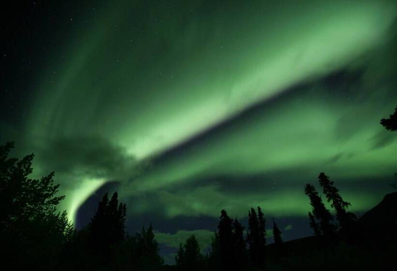 Otel Raven Inn Whitehorse