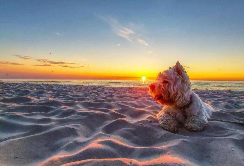 בית מלון כפרי Seaside Park