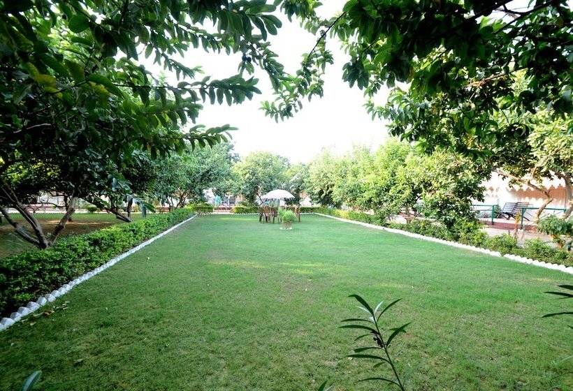 منتجع Bagh Dera Camp