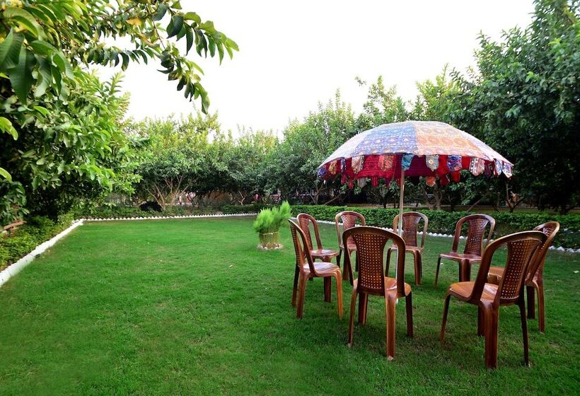 منتجع Bagh Dera Camp