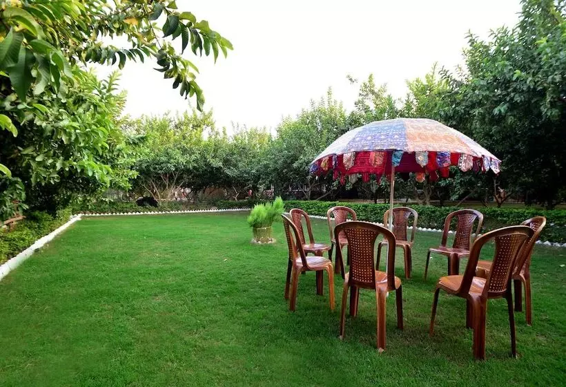 Lomakeskus Bagh Dera Camp