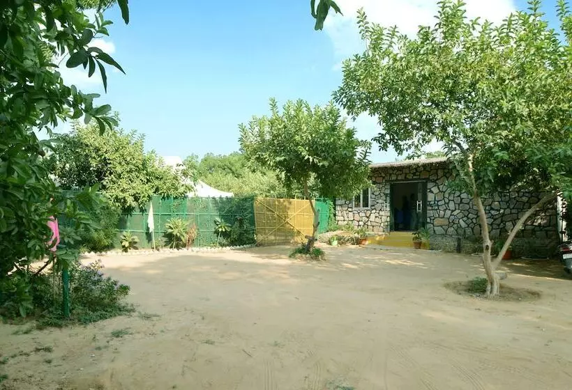 Lomakeskus Bagh Dera Camp