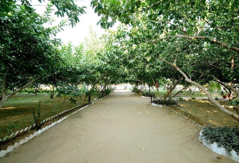 منتجع Bagh Dera Camp