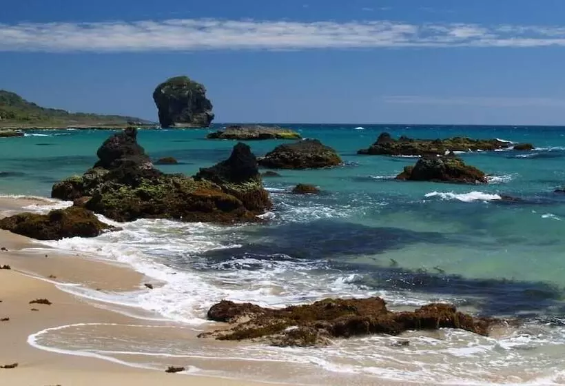 تختخواب و صبحانه Taiwan Dive Resort Hostel