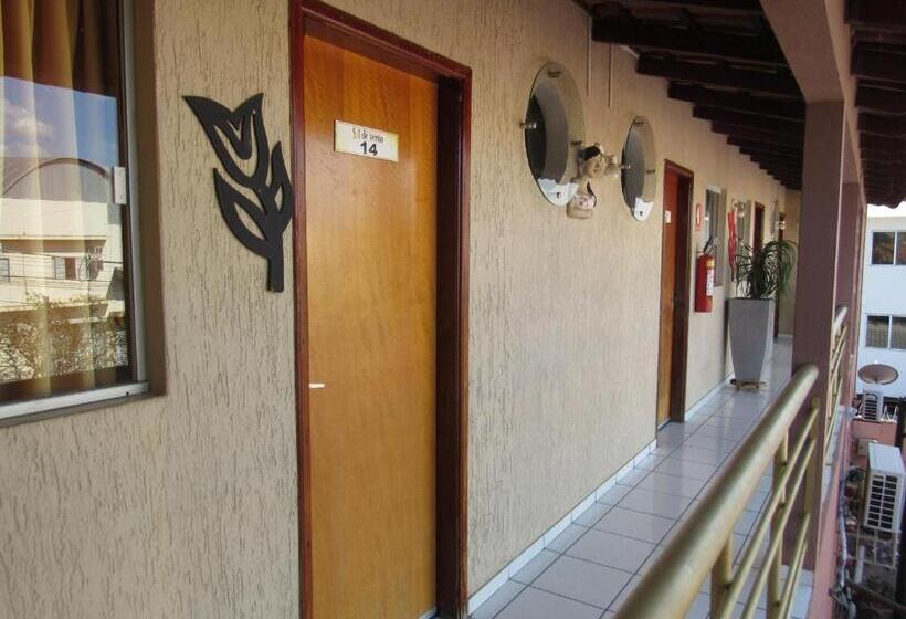 호텔 Pousada Sol De Verão