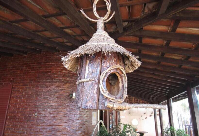 ホテル Pousada Sol De Verão