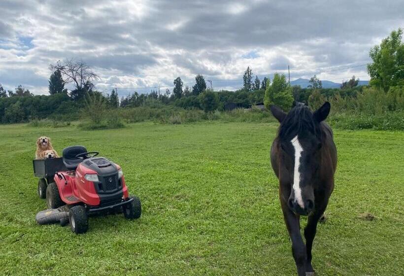 צימר Strip Center Suites By Casona Lo Aguirre