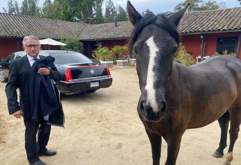 ベッドアンドブレックファースト Strip Center Suites By Casona Lo Aguirre