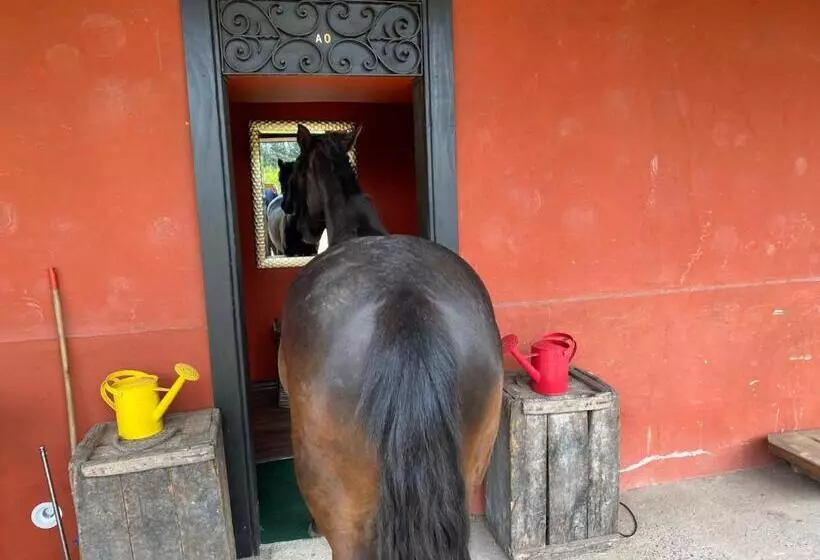 Aamiaismajoitus (B&B) Strip Center Suites By Casona Lo Aguirre