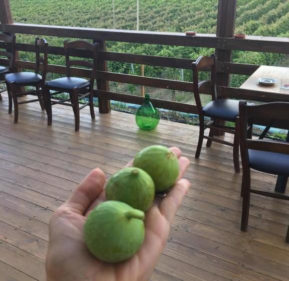 酒店 Agriturismo Tenuta Lagala