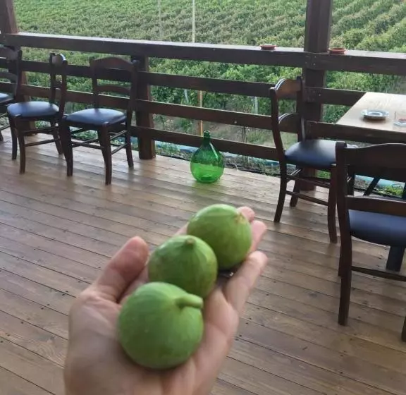 ホテル Agriturismo Tenuta Lagala