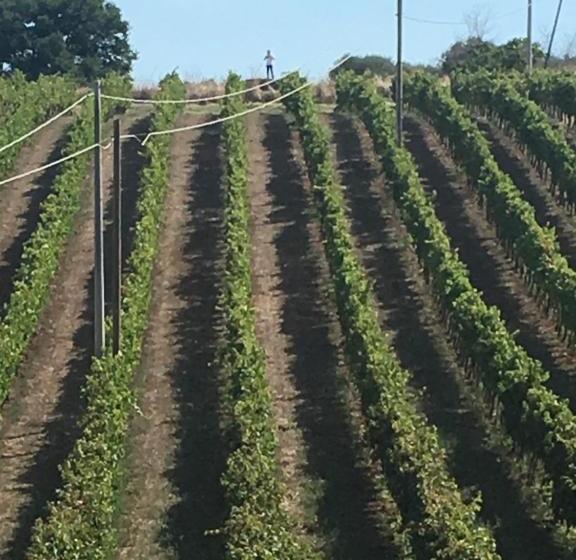 酒店 Agriturismo Tenuta Lagala