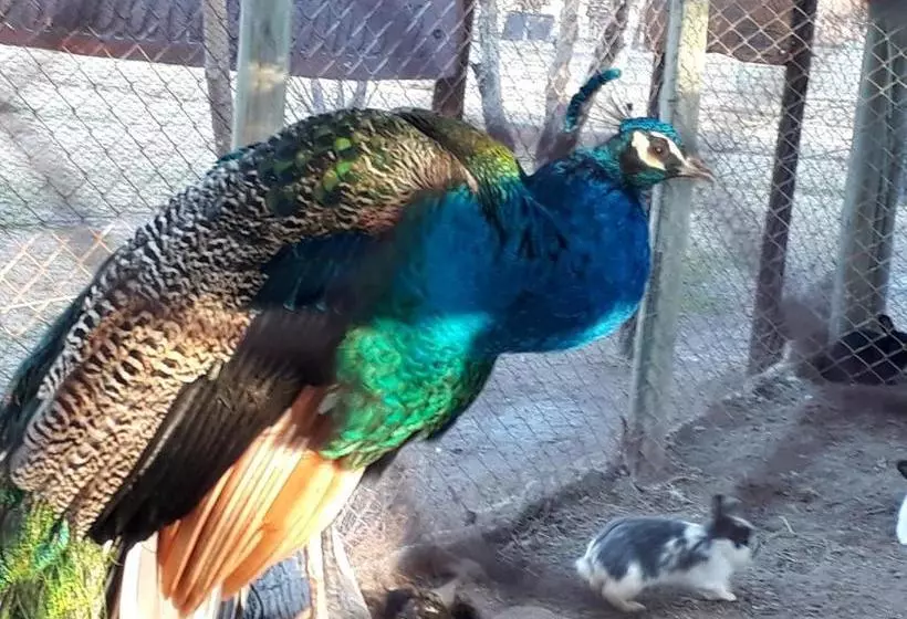 Retkeilymaja La Posada Del Jamón