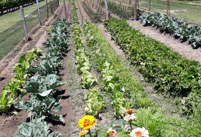 旅馆 La Posada Del Jamón