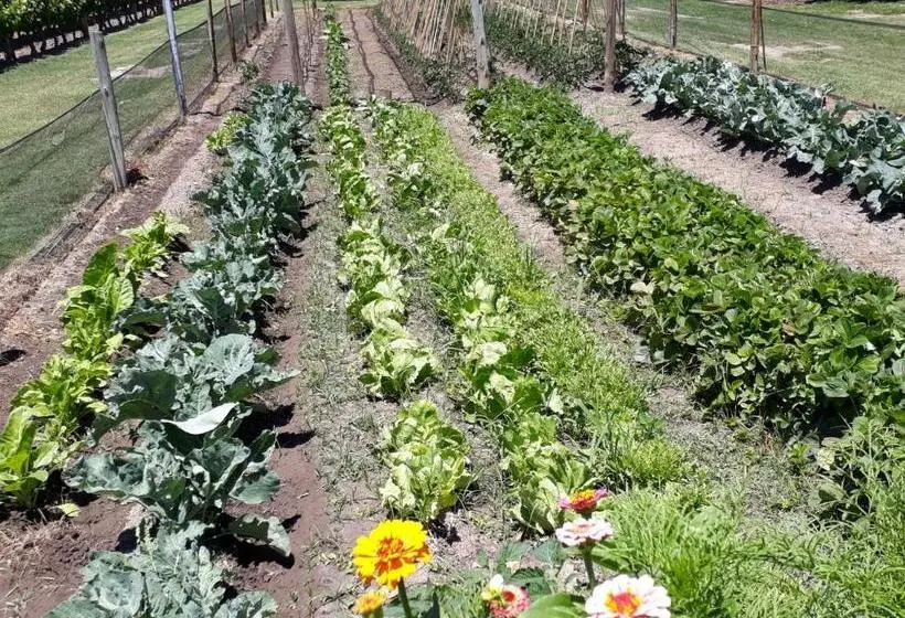 Retkeilymaja La Posada Del Jamón