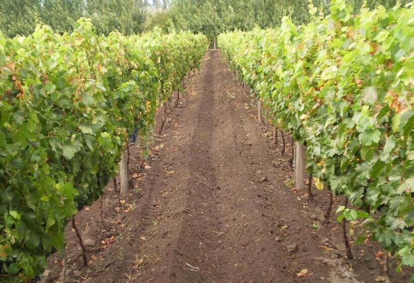 旅馆 La Posada Del Jamón