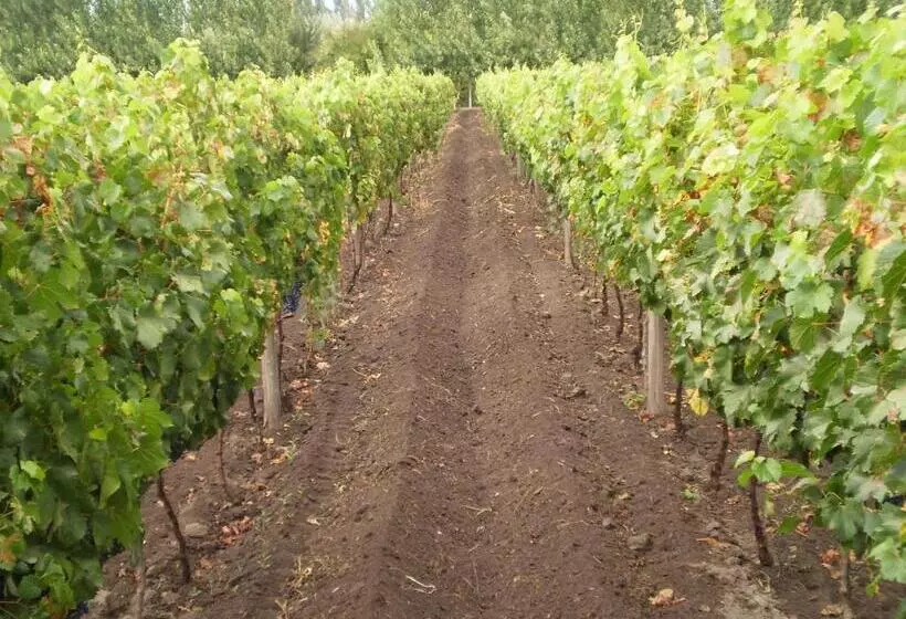 Retkeilymaja La Posada Del Jamón