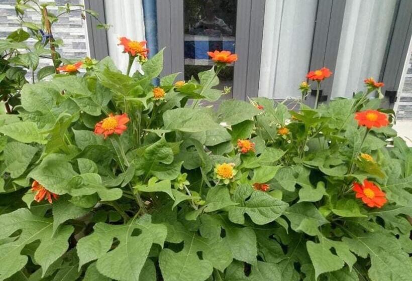 هتل Cherry Garden Homestay