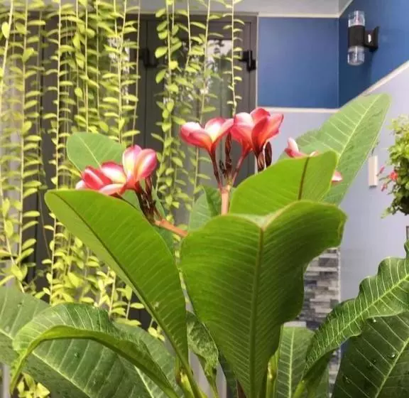 هتل Cherry Garden Homestay