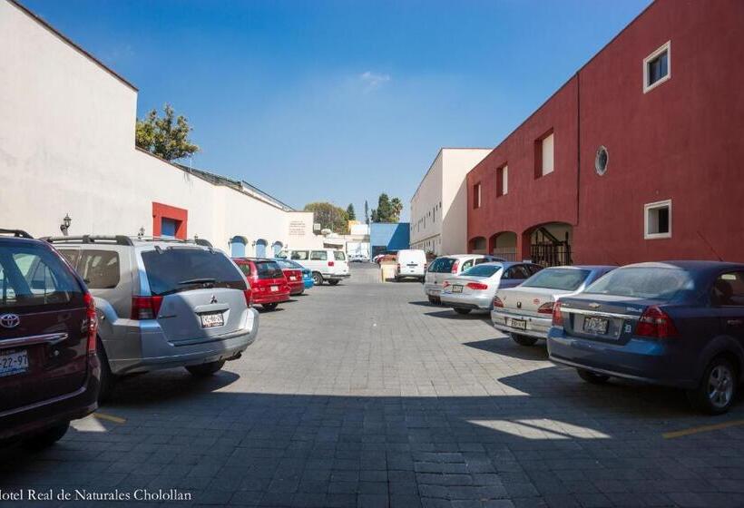 בית מלון כפרי Real De Naturales