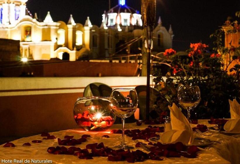 בית מלון כפרי Real De Naturales