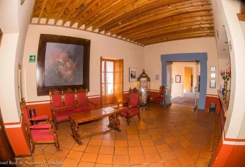 ホテル Real De Naturales