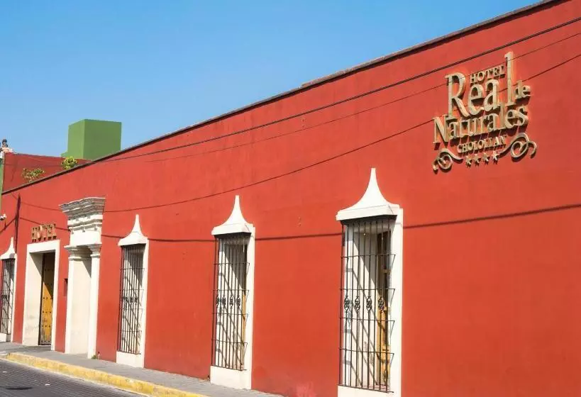 ホテル Real De Naturales