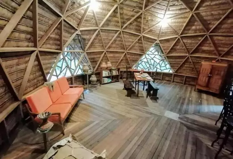 ペンション Palmayacu Refugio Amazónico