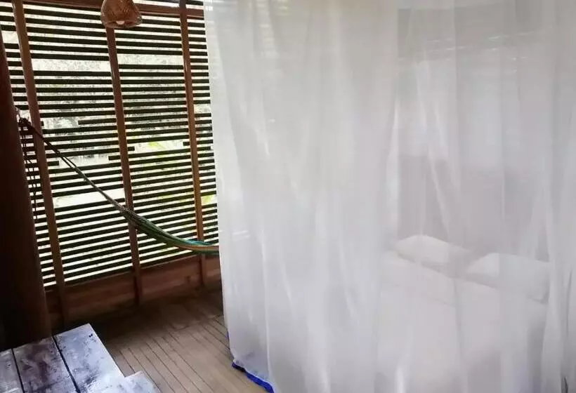 ペンション Palmayacu Refugio Amazónico