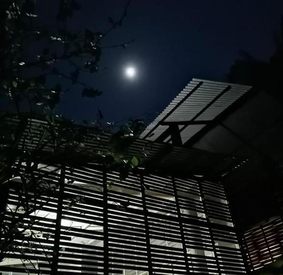 Pension (Hôtel basse catégorie) Palmayacu   Refugio Amazónico