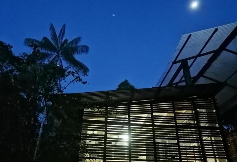 Pension (Hôtel basse catégorie) Palmayacu   Refugio Amazónico