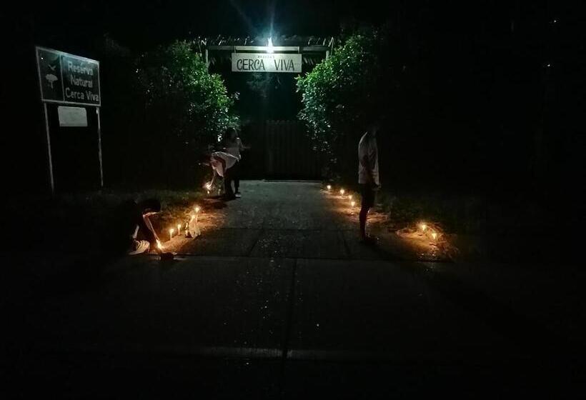 Pension (Hôtel basse catégorie) Palmayacu   Refugio Amazónico