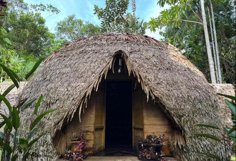 Pension (Hôtel basse catégorie) Palmayacu   Refugio Amazónico