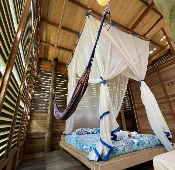 ペンション Palmayacu Refugio Amazónico