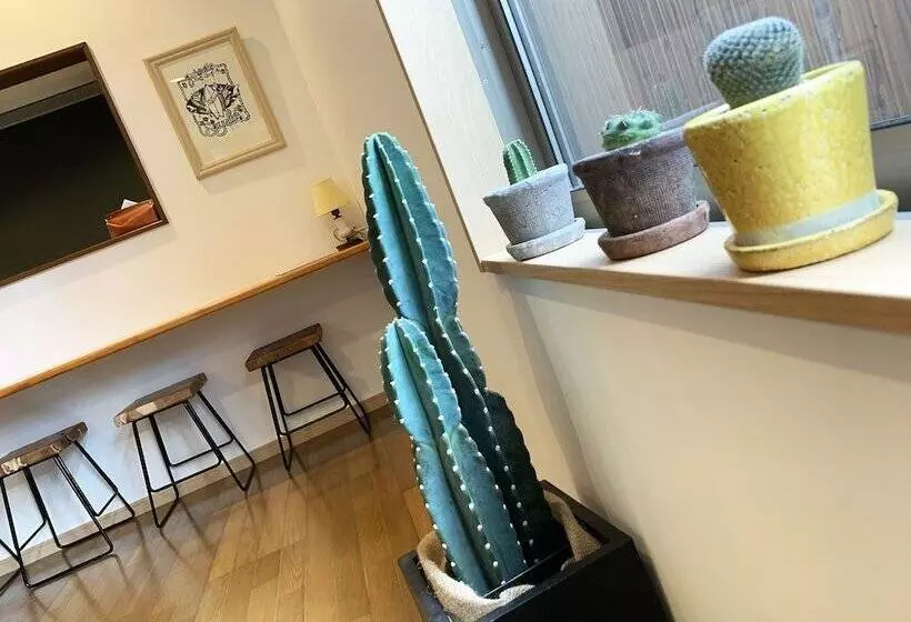 Retkeilymaja Cactus Inn