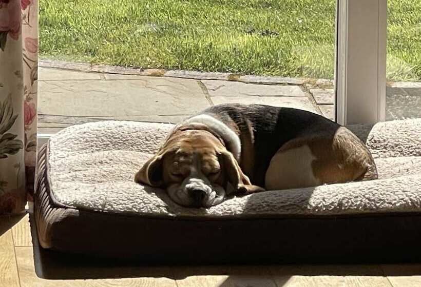 تختخواب و صبحانه Lancasters Cottage