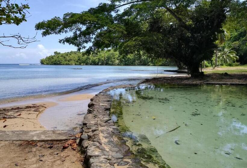 تختخواب و صبحانه Toga Guest House