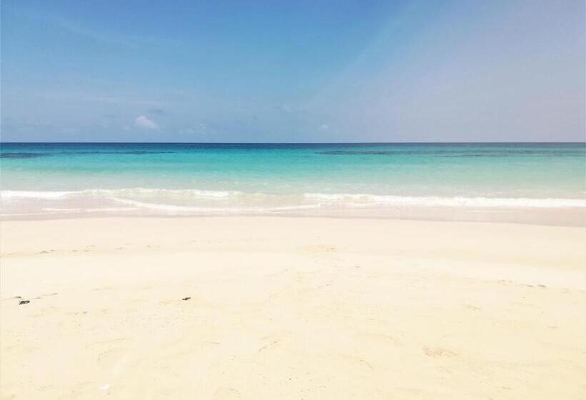 تختخواب و صبحانه Toga Guest House