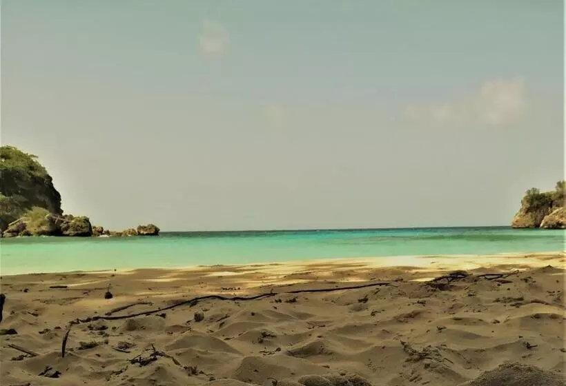 تختخواب و صبحانه Toga Guest House
