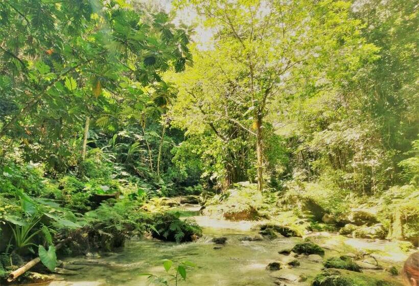 تختخواب و صبحانه Toga Guest House