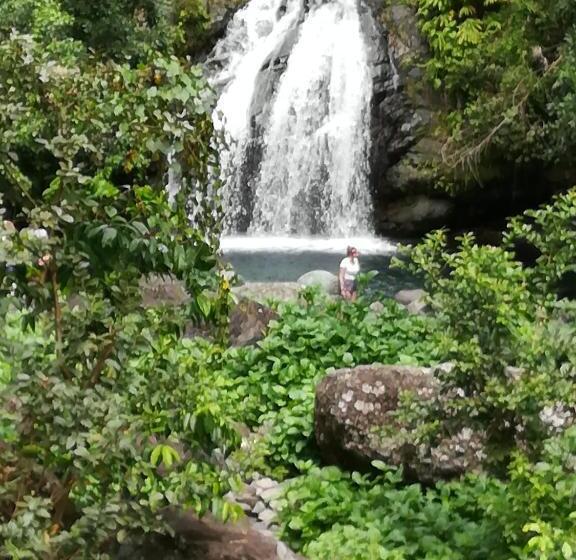 تختخواب و صبحانه Toga Guest House