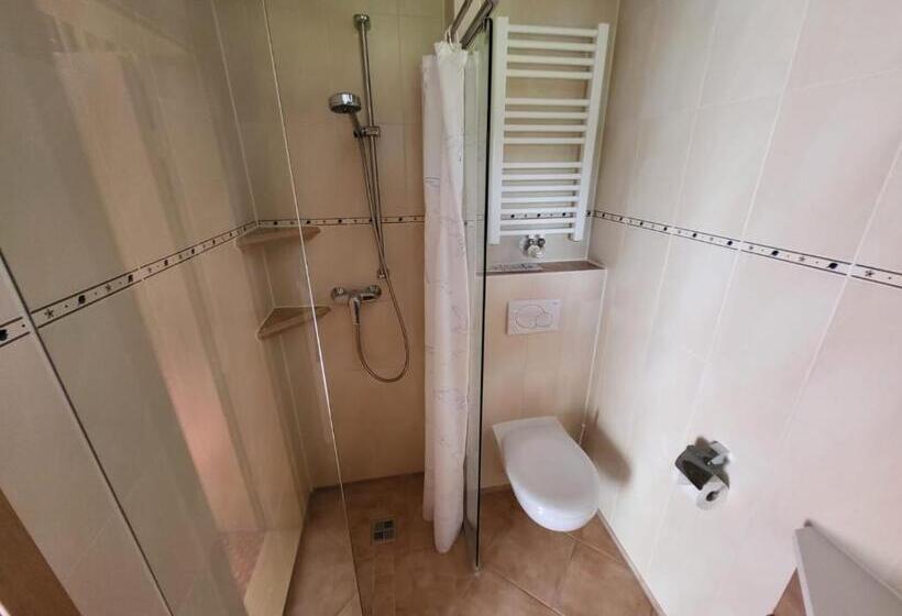 Пансион Gästehaus Schwarz