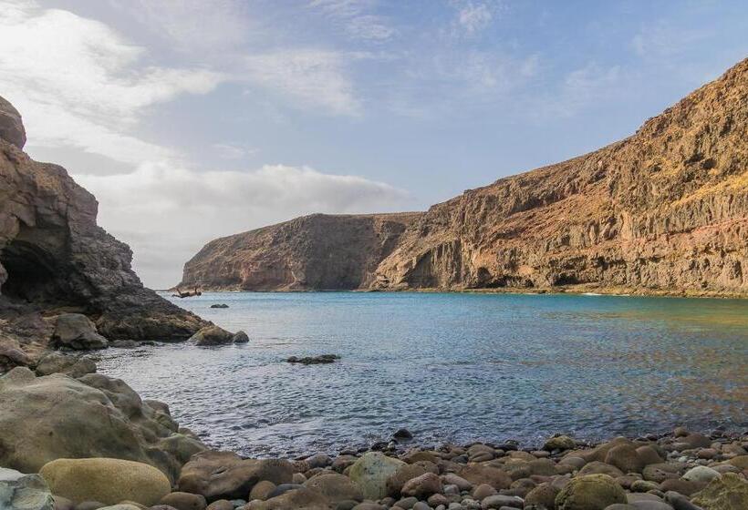 فندق فئة نجمة واحدة Casa Calma Yoga Guesthouse