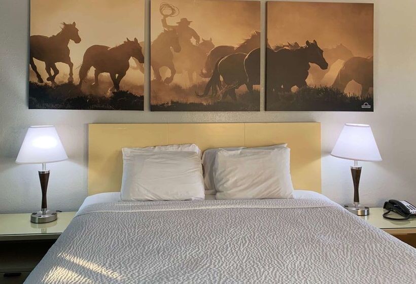 酒店 Days Inn & Suites By Wyndham   Canton First Monday Trade Days